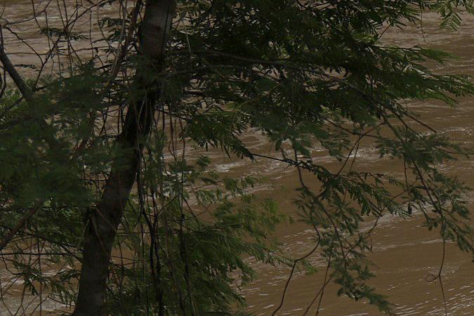 "Jamás se había visto algo tan devastador": el brutal impacto del huracán Otis en Acapulco