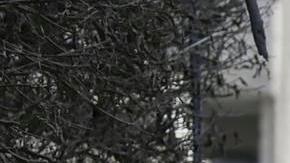 La heroica historia de un estadounidense de 23 años desaparecido en Israel