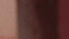 Matthew Perry y Salma Hayek