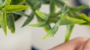 Medicare: cuáles son los beneficios para personas con enfermedades crónicas