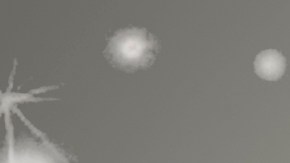 numerología de noviembre