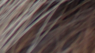 signos zodiacales destinados a ser ricos