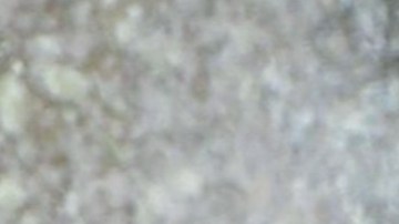 Samadhi Zendejas en la Gala del Día de Muertos de Vogue. Horacio Pancheri en la presentación de la telenovela 'Golpe De Suerte'.