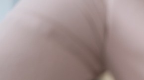 Aumentan las razones para contratar un seguro de mascota: por qué