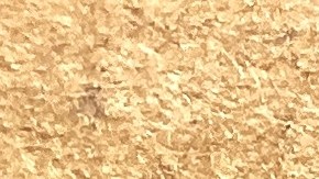 Prime Day