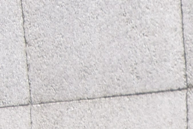 Marina en México rinde homenaje a “Frida”, a un año de la muerte de la perrita rescatista