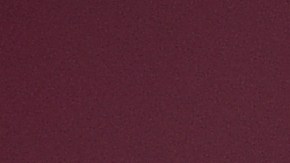 Marina en México rinde homenaje a “Frida”, a un año de la muerte de la perrita rescatista