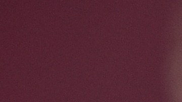 Marina en México rinde homenaje a “Frida”, a un año de la muerte de la perrita rescatista