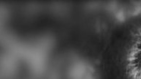 Sebastián Acevedo tenía cuatro hijos. Dos de ellos fueron detenidos por la CNI el 9 de noviembre de 1983.