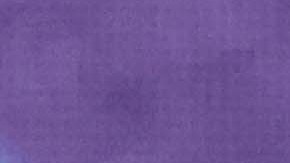 Trump se declara "orgulloso" por victoria de Milei; Casa Blanca reitera su compromiso con Argentina