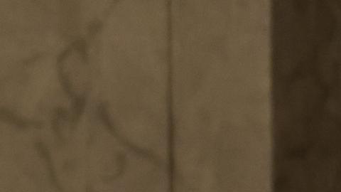 Papa "resfriado" se salta lectura de discurso a rabinos