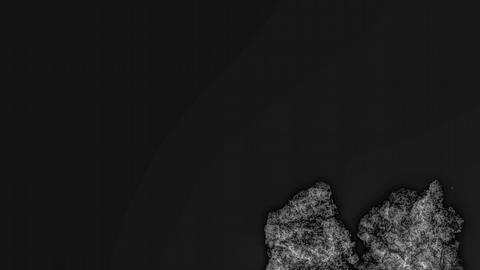 Hallan una rara mano artificial en un esqueleto enterrado en la Edad Media