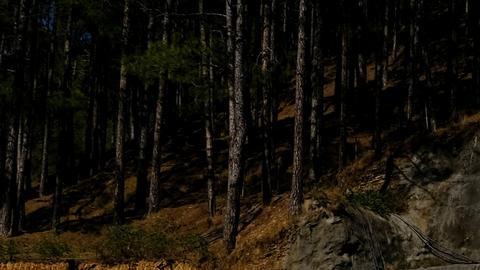 tunel derrumbado en Uttarkashi, India