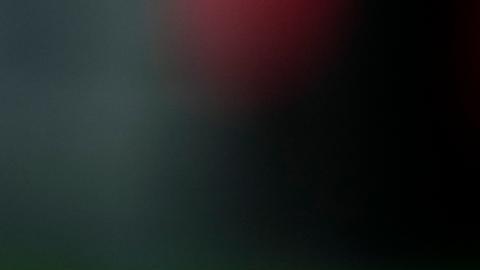 Misteriosa enfermedad se propaga entre perros en EE.UU. UU.