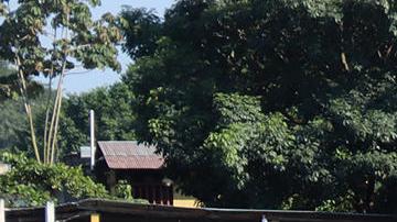 Más 40,000 migrantes cruzaron la frontera sur de México entre agosto y octubre