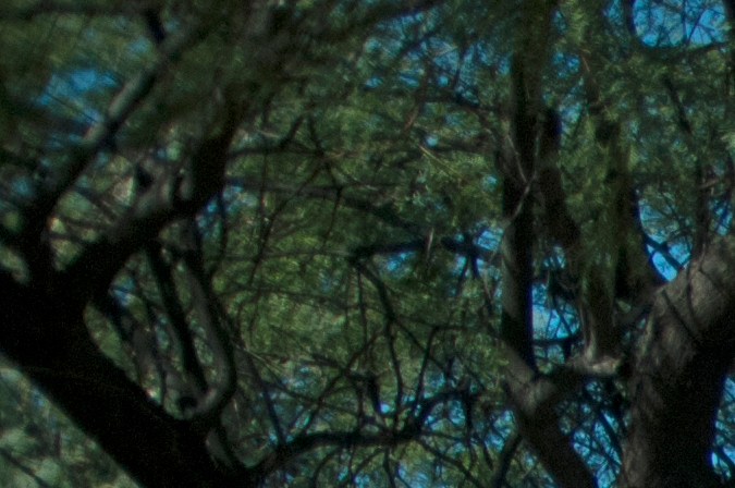 Con altar de muertos recuerdan a migrantes fallecidos en la frontera de Arizona y México