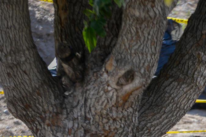 Bajas temperaturas profundizan la crisis migratoria en la frontera de México y EE.UU.