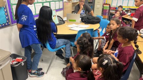 Las escuelas chárter tienes un gran porcentaje de estudiantes que están aprendiendo inglés.