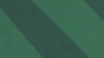 AMLO confía en que China y EE.UU. alcanzarán más acuerdos y cooperación durante la cumbre APEC