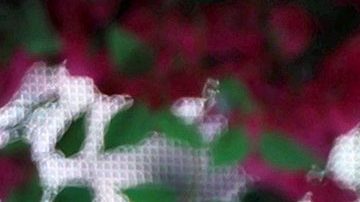 Becky G en el Coachella Music Festival 2023.