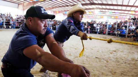 Tacho es el protagonista de "Bulls and Saints".