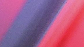 William 'Camarón' Zepeda