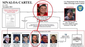 El hermano de Miguel Ángel Morgan es el jefe de plaza del Cártel de Sinaloa en Nogales.