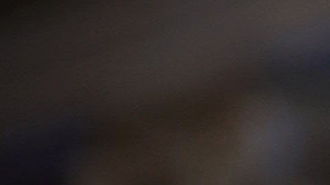 Chuck Grassley, senador por Iowa