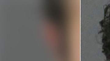 David Santiago Renteria