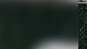 Decomiso de fentanilo