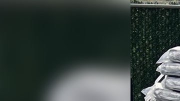 Decomiso de fentanilo