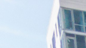 Día de acción de gracias