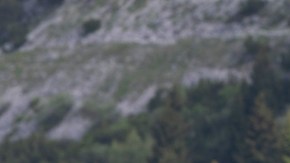 Mercedes-Benz LC 300 4MATIC Coupe