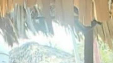 Erin Leyva fue encontrada sin vida en un departamento de West Hollywood. (Cortesía Erin  Castell)