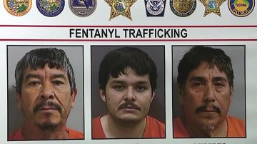 Detenidos por tráfico de fentanilo