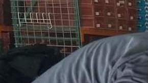 Mexicanos que residen en Los Ángeles se unen para enviar donativos a los afectados por Otis. (Cortesía)