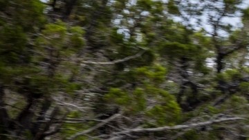 Ford F-150 Lightning