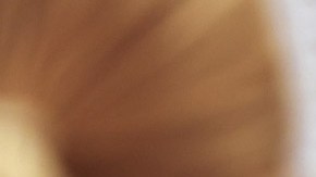 George Santos, representante por New York