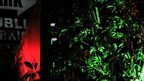 Pat falleció el domingo 5 de noviembre, sin especificar las causas de su muerte.