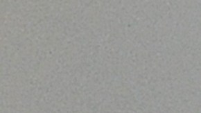 Serpiente "extremadamente venenosa" escapa en vecindario de Países Bajos y desatan cacería ante inminente peligro