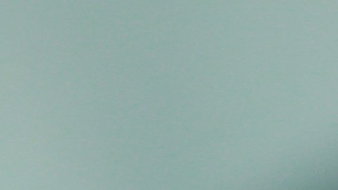 Ferretti ha dirigido a México en dos ocasiones.