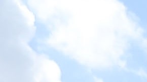 Sospechoso de desmembrar un cuerpo en Florida murió por herida de bala autoinfligida