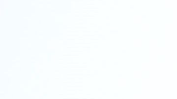 Ataque antisemita en Viena, incendian y profanan con esvásticas nazis principal cementerio judío