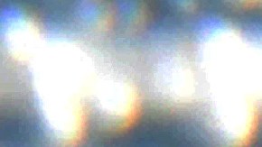 Corea del Sur lucha inicia una nueva guerra, ahora contra una plaga de chinches sin precedentes