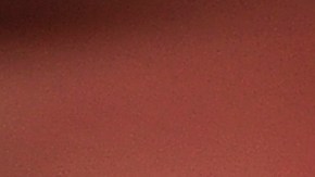 A handler holds one of 58 homeless Chihuahuas and small mixed breed dogs from Los Angeles which are being flown to Edmonton, Canada for adoption as part of the Society for the Prevention of Cruelty to Animals Los Angeles (spcaLA) "Air Chihuahua program," at an airport in Long Beach, California February 11, 2011. The "Freedom Flight" aboard a private Gulfstream III jet provided by Orange Dog Inc matches unwanted dogs from southern California with new owners in other parts of North America. AFP PHOTO / Robyn Beck (Photo credit should read ROBYN BECK/AFP via Getty Images)