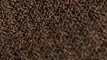 OAKLAND, CA - JULY 17: Deborah McFadden holds a sample of the new California State Electronic Benefit Transfer (EBT) card July 17, 2002 in Oakland, California. On August 1, Alameda county will be one of two counties in California to pilot the EBT system for distribution of Food Stamps, CalWORKs and General Assistance benefits. (Photo by Justin Sullivan/Getty Images)