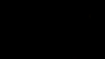 Estudiante árabe musulmán de la Universidad de Stanford resultó herido en un atropello y fuga