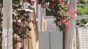 Violencia en Jalisco