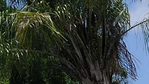 Mujer de Florida hallada muerta en una unidad de almacenamiento a nombre de su ex esposo