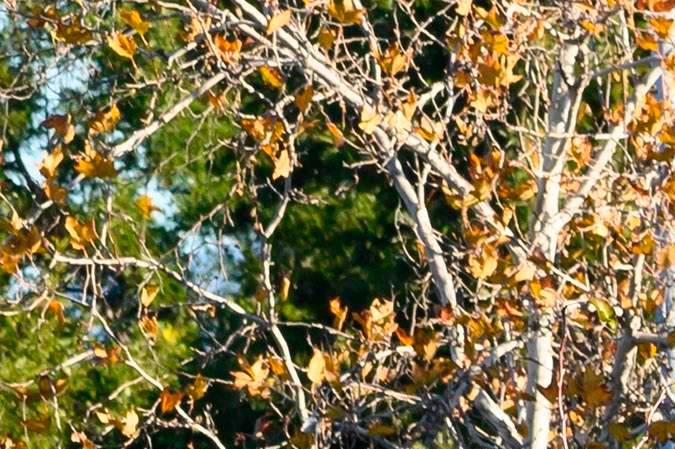 Fire and hazmat personnel investigate after four people were take to the hospital with possible fentanyl exposure, at a hotel in the Woodland Hills neighborhood of Los Angeles, California, December 31, 2019. - Authorities said one victim was in grave condition and three others in fair but stable condition. (Photo by Robyn Beck / AFP) (Photo by ROBYN BECK/AFP via Getty Images)